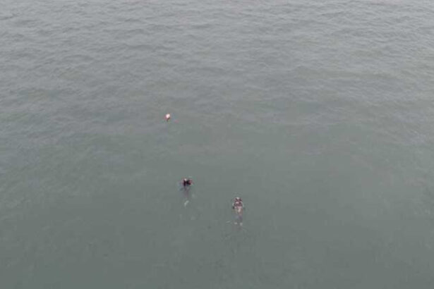 interventie de urgenta la agigea cautari dupa ce o fata ar fi cazut in canalul dunare marea neagra salvatorii i au gasit rucsacul 6973a1d130c02