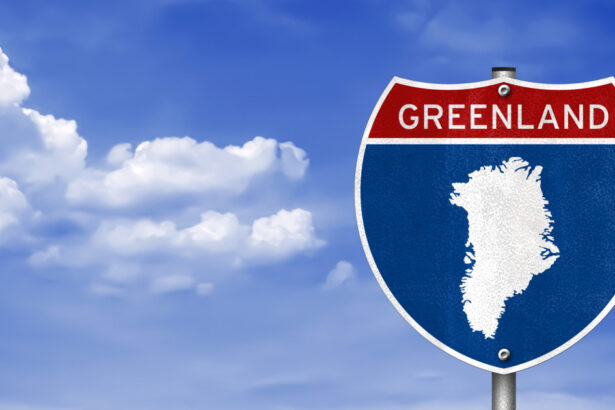 italia refuza misiunea europeana in groenlanda ministrul apararii 15 italieni 15 francezi 15 germani pare o gluma 696a6e771f904