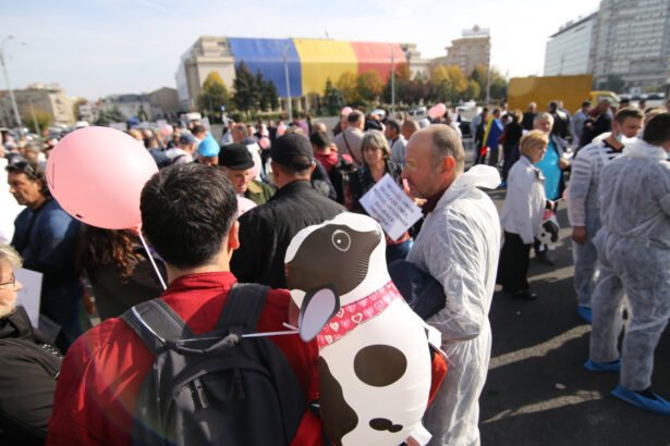 medicii veterinari protesteaza astazi in piata victoriei fata de reducerea finantarii serviciilor sanitar veterinare 69775e0ebe5eb