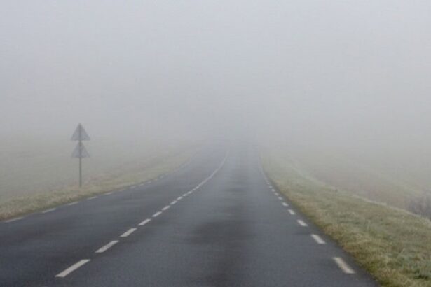 meteorologii au emis un nou cod galben de ceata in dobrogea 695cf01334ddf