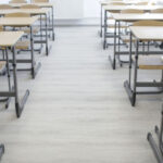 mii de elevi vor face cursuri online din cauza vremii mai multe scoli isi suspenda activitatea 6965215d95f3e