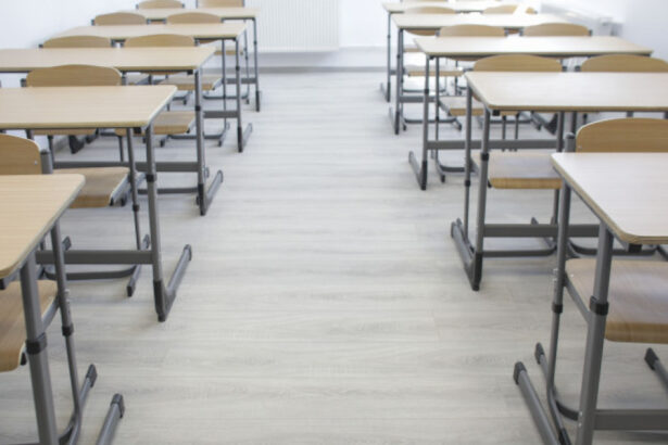 mii de elevi vor face cursuri online din cauza vremii mai multe scoli isi suspenda activitatea 6965215d95f3e