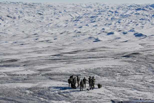 militari europeni in groenlanda europa raspunde presiunilor lui trump alice rufo un semnal catre intreaga lume 696a248330637