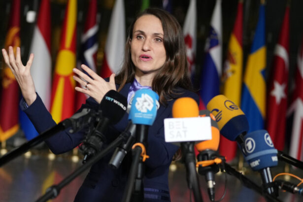 ministrul oana toiu raspunde intrebarii puse de donald trump la davos ce ar face romania daca sua ar cere ajutor tarilor din europa 697113fe336fa