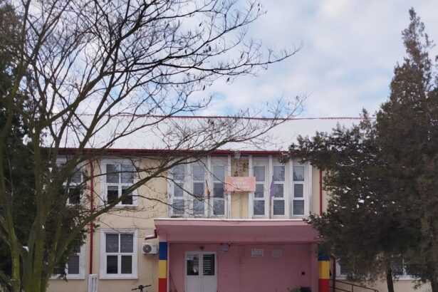 noi demersuri ale parintilor din cobadin impotriva transformarii liceului din comuna intr unul tehnologic concluzii in urma discutiilor cu primarul cristian telehoi 696f65164333c