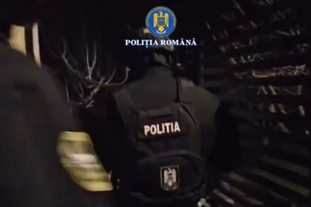 o adolescenta si a denuntat mama la diicot pentru ca se saturase sa o gaseasca drogata dealerul femeii prins in flagrant 696ccca344932