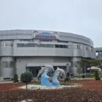 o noua viata pentru bradutii de craciun complexul muzeal de stiinte ale naturii invita cetatenii sa ii replanteze in microrezervatie 695d1a486acbd