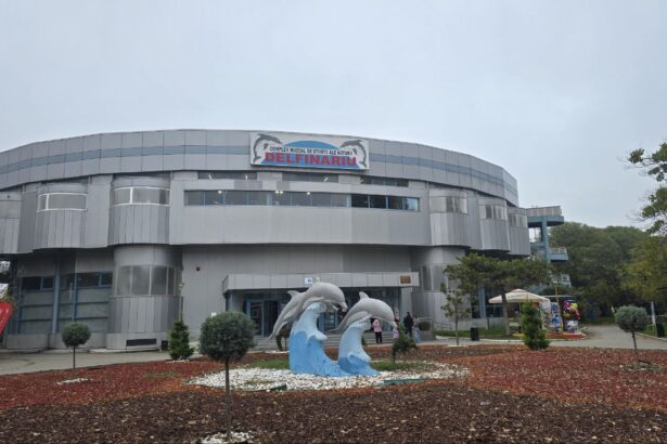 o noua viata pentru bradutii de craciun complexul muzeal de stiinte ale naturii invita cetatenii sa ii replanteze in microrezervatie 695d1a486acbd