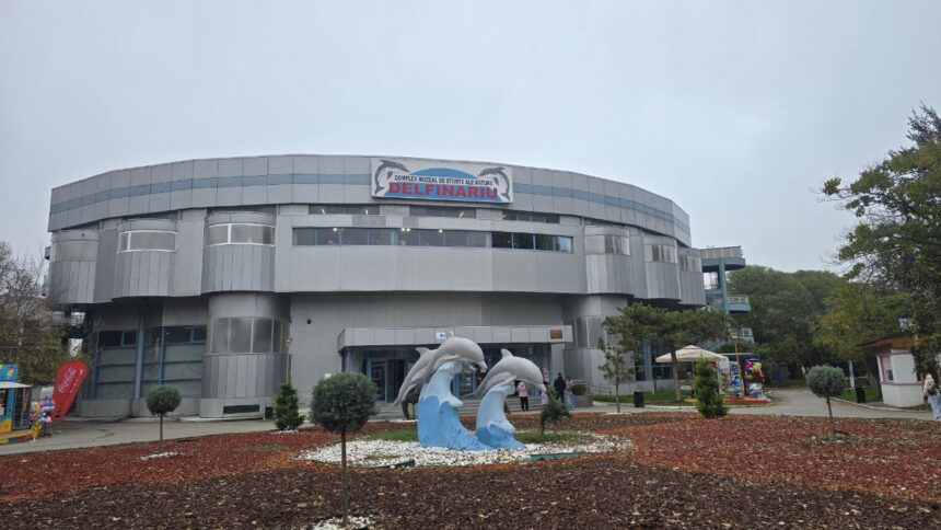 o noua viata pentru bradutii de craciun complexul muzeal de stiinte ale naturii invita cetatenii sa ii replanteze in microrezervatie 695d1a486acbd