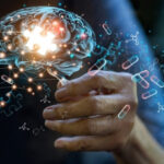 o substanta naturala care restabileste functiile memoriei afectate de boala alzheimer identificata in corpul uman 695cbd4310d3d