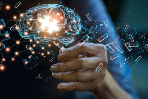 o substanta naturala care restabileste functiile memoriei afectate de boala alzheimer identificata in corpul uman 695cbd4310d3d