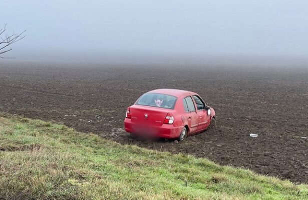 o tanara soferita a iesit cu masina in decor la limita dintre judetele tulcea si constanta 695ad291819ad
