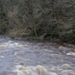 pericol de inundatii hidrologii au emis cod galben si portocaliu de viituri in mai multe judete ale tarii 695e3ffc15338