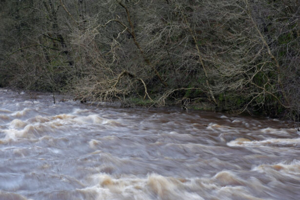 pericol de inundatii hidrologii au emis cod galben si portocaliu de viituri in mai multe judete ale tarii 695e3ffc15338