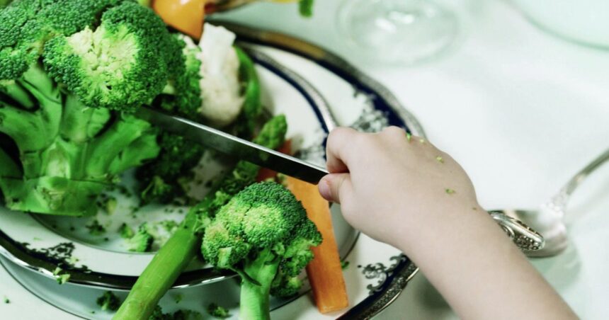 plantele surse de fibre si de compusi cu efecte antimicrobiene antioxidante si antiinflamatorii 69641335780df