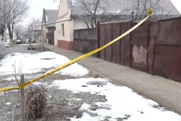 primarul din cenei despre cazul baiatului ucis de 3 adolescenti parintii sunt panicati ca cel de 13 ani e liber sa mearga la scoala 69720d810d363