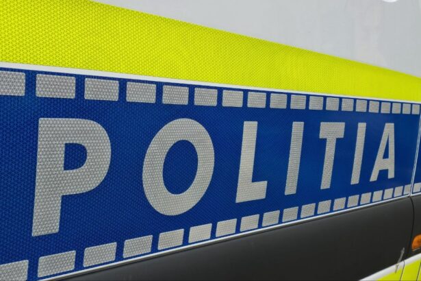 razii de amploare pe intreg judetul constanta iata ce nereguli au constatat politistii in mangalia medgidia navodari si cernavoda 69638790f26fb