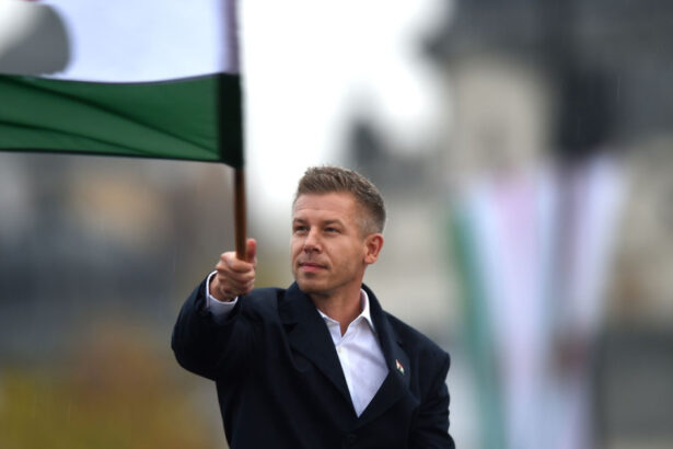 rivalul lui viktor orban peter magyar se dovedeste si mai radical cu muncitorii straini din ungaria care sunt planurile sale 695e7bbd563d6