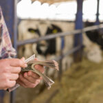 romania a primit aproape 1 miliard de euro din fonduri ue pentru agricultura sumele acopera avansurile platite fermierilor 695be6cc94b9f