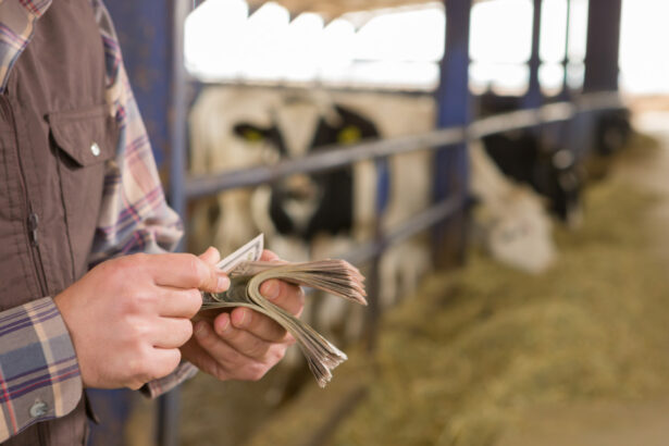 romania a primit aproape 1 miliard de euro din fonduri ue pentru agricultura sumele acopera avansurile platite fermierilor 695be6cc94b9f