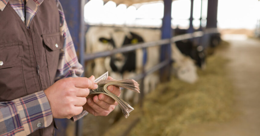 romania a primit aproape 1 miliard de euro din fonduri ue pentru agricultura sumele acopera avansurile platite fermierilor 695be6cc94b9f