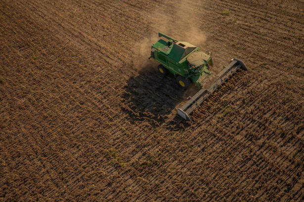 romania cere garantii suplimentare pentru fermieri in negocierile ue mercosur si viitoarea politica agricola comuna 6960dbf5b203b