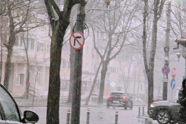 seful isj constanta clarificari despre varianta inchiderii unitatilor de invatamant din cauza conditiilor meteo 695fbd14d5314