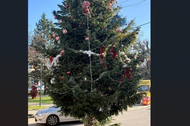 situatie scandaloasa in valcea bradul de craciun din centrul unui oras a fost taiat din cimitir de la mormantul unui localnic 695a91cb4775d