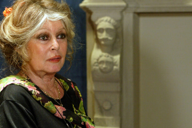 sotul actritei brigitte bardot dezvaluie cauza mortii acesteia a rezistat foarte bine celor doua operatii 69600f9ea185f