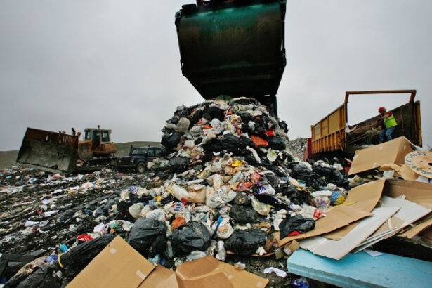 spirite incinse envirotech se lupta sa amenajeze o groapa de gunoi la lumina primarul florin chelaru si cetatenii se opun 6979fb7b3968e