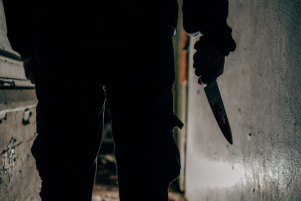 tanar din constanta retinut dupa ce si a injunghiat mama de 40 de ori dupa crima s a plimbat prin oras si apoi s a predat politiei 696f718902263