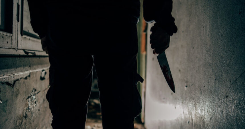 tanar din constanta retinut dupa ce si a injunghiat mama de 40 de ori dupa crima s a plimbat prin oras si apoi s a predat politiei 696f718902263