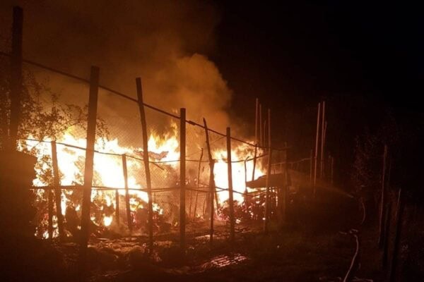 tanar din poarta alba arestat pentru incendierea a 3 000 de baloti de paie 695e419f7fd6b