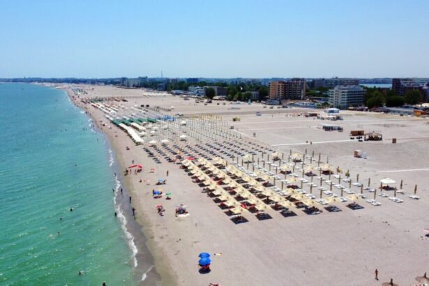 teren din mamaia revendicat drept plaja proces cu societatea unui regretat om de afaceri vezi aici decizia curtii supreme 6958959f4893d