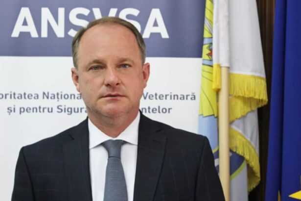 tribunalul constanta anunta finalul iata cand se vor pronunta judecatorii in dosarul lui geronimo raducu branescu fost director dsv 69668605546f1