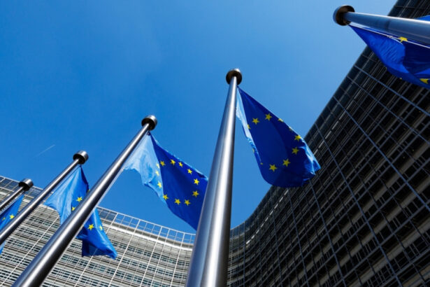 ue aproape de a incheia acordul comercial cu mercosur in ciuda protestelor fermierilor 6960ca7c277db