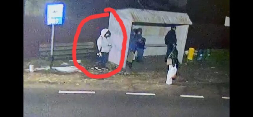 ultima poza cu minora disparuta din movilita al carei rucsac a fost gasit pe malul canalului din agigea ce spune mama ei 6973def0653a7