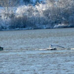 ultimele date privind calitatea apelor dunarii in zona unde s a scufundat o barja cu clorura de potasiu 6967b9c0c0d04