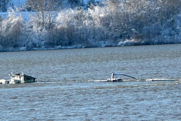 ultimele date privind calitatea apelor dunarii in zona unde s a scufundat o barja cu clorura de potasiu 6967b9c0c0d04