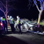 un autoturism a intrat intr un copac de pe maginea dc 47 in zona comunei lipnita 696278efc3d5d