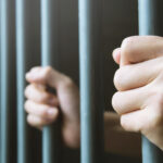 un barbat din dolj a ajuns dupa gratii pentru ca a omorat in bataie un caine care intrat in curtea lui 6973431bbc689