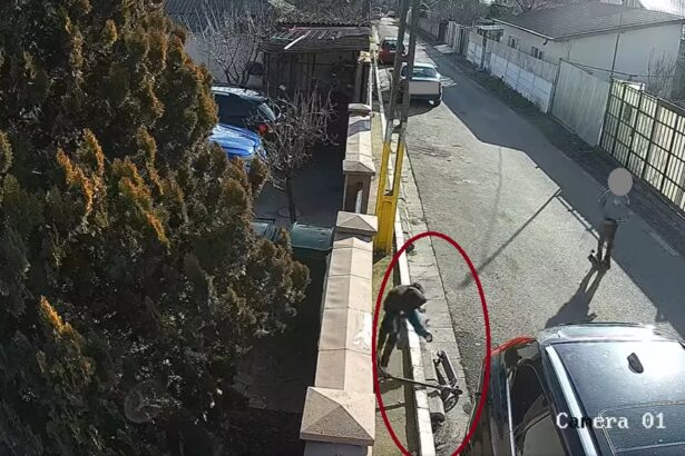 un copil ar fi furat o trotineta in valu lui traian totul a fost surprins de camerele video 697ba18b40724