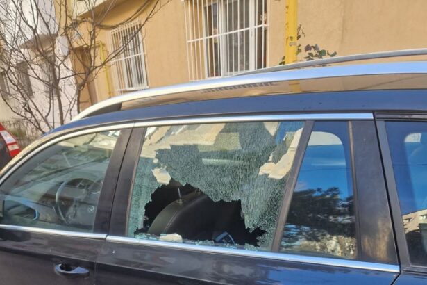 un hot care a spart masina unui constantean si i a furat un portofel cu 20 de lei si cardurile prins in cateva ore de politisti 695e3e20e415f