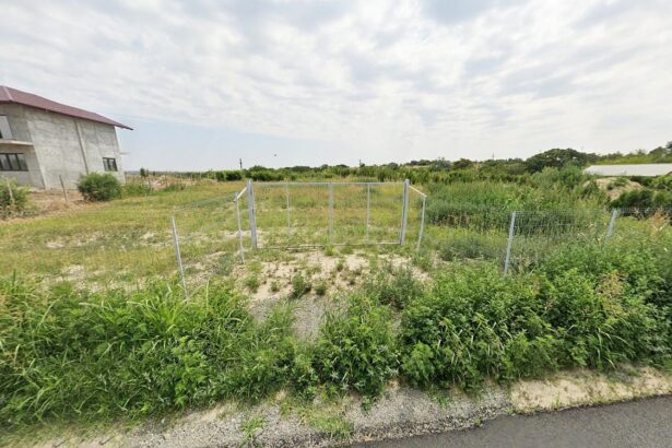 un teren din cernavoda scos la licitatie de un executor judecatoresc intr un dosar de executare silita la jumatate de pret 6961d3a6822c7