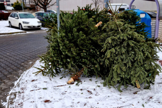 unde se arunca bradul natural de craciun dupa sarbatori ce amenzi risca persoanele care nu respecta regulile impuse de primarii 695e0b49e838c