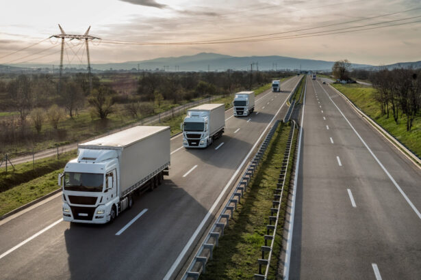 untrr cere ungariei sa ridice restrictiile de tranzit introduse la 1 ianuarie genereaza ocoluri de peste 200 km 6967cb54b188c