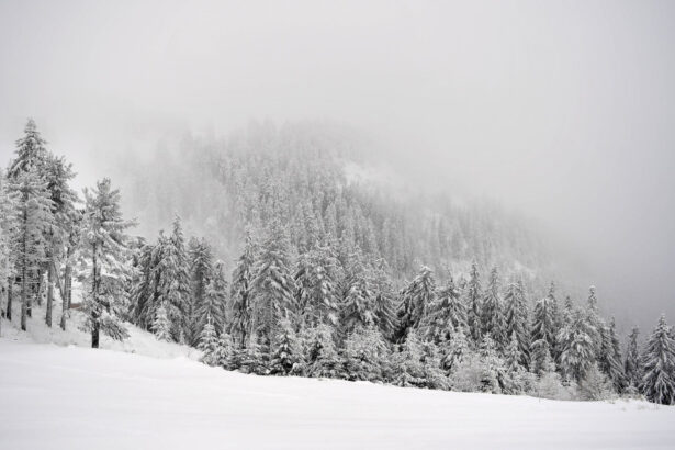 urmeaza trei zile cu ninsori abundente la munte risc crescut de avalanse avertizeaza anm 6958a5d1690dd