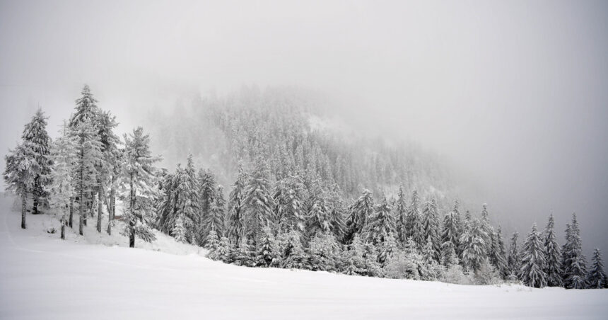 urmeaza trei zile cu ninsori abundente la munte risc crescut de avalanse avertizeaza anm 6958a5d1690dd