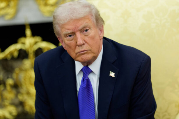 veteranii nato furiosi dupa declaratiile lui trump despre afganistan a intrecut masura am platit cu sange pentru aceasta alianta 697393c43b5e9