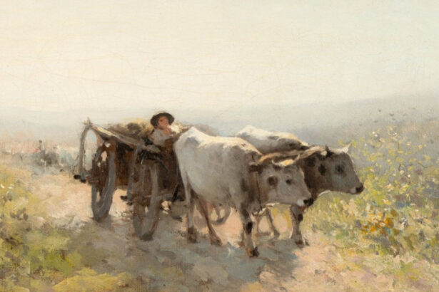 video anaf scoate la licitatie o parte din tablourile ascunse de valcov in pereti la cat se ridica prejudiciul din dosar 696a7c6d15051